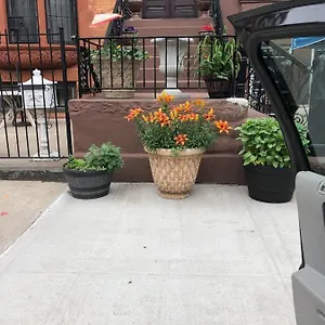  Apartment Brooklyn Brownstone